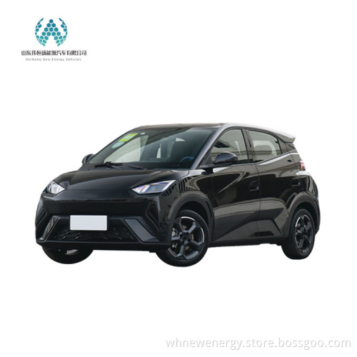 Высококачественный и горячая продажа Электрический автомобиль для Byd Seagull 2023 Flying Type